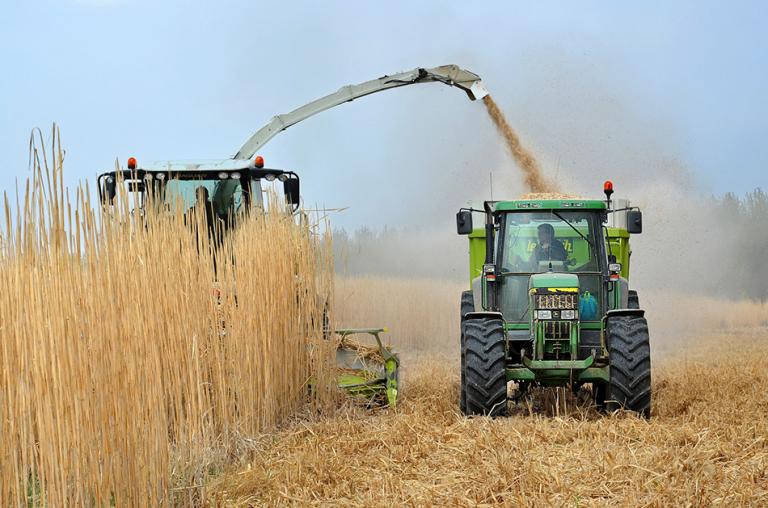 producteurs de gaz vert